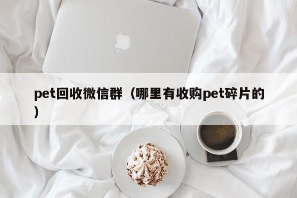 pet回收微信群（哪里有收购pet碎片的）